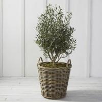 Kubu Extra Large Planter