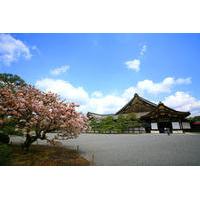 Kyoto City Tour: Golden Pavilion, Nijo Castle, Kyoto Imperial Palace and Handicraft Center