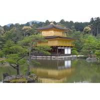 Kyoto Full-Day Sightseeing Tour including Nijo Castle and Kiyomizu Temple