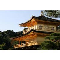 kyoto morning tour of kinkakuji temple nijo castle and kyoto imperial  ...