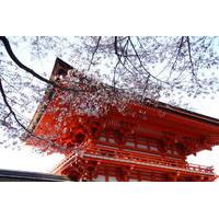 kyoto afternoon tour to heian shrine sanjusangendo hall and kiyomizu t ...