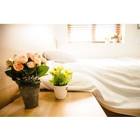 Kyo\'s House