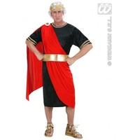 L Mens Nerone Costume Outfit for Roman Greek Fancy Dress Male UK 42-44 Chest