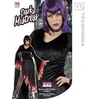 L Ladies Womens Dark Mistress Costume Outfit for Halloween Emo Goth Fancy Dress Female UK 14-16