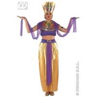 L Gold / Purple Ladies Womens Cleopatra Costume Outfit for Egyptian Queen Fancy Dress Female UK 14-16 Gold / Purple