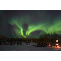 Lapland Northern Lights Safari by Snowmobile from Rovaniemi