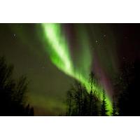 Lapland Aurora Borealis Picnic from Rovaniemi