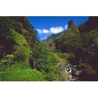 Lahaina Shore Excursion: Tropical Plantation Tour and Iao Valley