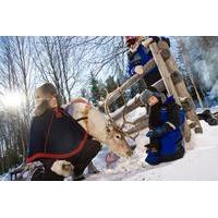 Lapland Snowmobile Safari To Reindeer Farm From Rovaniemi