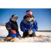 lapland reindeer safari to wilderness lake and ice fishing from rovani ...