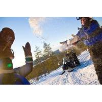 Lapland Snowmobiling Quick Spin: 2-hour Snowmobile Experience from Rovaniemi