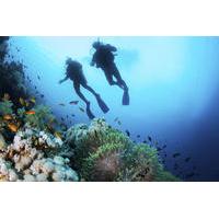 Lanzarote Scuba Diving Experience for Beginners