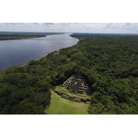 Lamanai Maya Temple and Baboon Encounter from Belize City