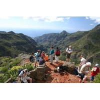 La Gomera\'s Forest of Fables National Park Tour