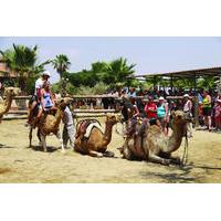 Larnaca Market and Camel Park Excursion from Ayia Napa