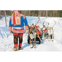 lapland reindeer sleigh ride from saariselk
