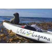 Laguna Beach SUP Lesson and Tour