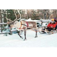 lapland snowmobile safari from ylls including reindeer sleigh ride