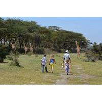 lake naivasha walking with animals day trip from nairobi