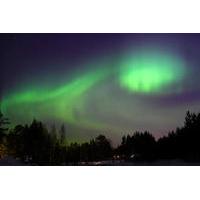 lapland northern lights safari by snowmobile from luosto