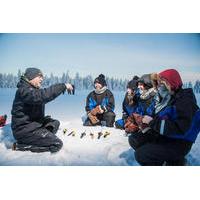 Lapland Snowmobiling, Ice Fishing and Tasty Food in Rovaniemi