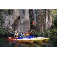 Lake Mclaren Evening Glow Worm Kayaking Adventure