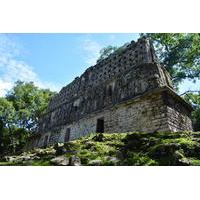 Lacandona Jungle, Yaxchilan and Bonampak Day Trip from Palenque