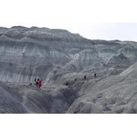 La Leona Petrified Forest Hiking Tour from El Calafate