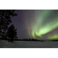 Lapland Northern Lights Adventure from Rovaniemi