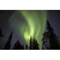 Lapland Northern Lights Safari by Snowmobile from Saariselkä