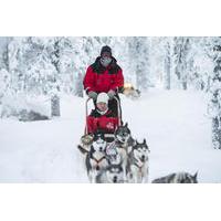 Lapland Husky Sled Ride from Saariselkä