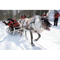 Lapland Reindeer Sleigh Ride to Santa Claus Village from Rovaniemi