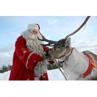 lapland santa claus village from rovaniemi including sleigh ride and l ...