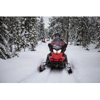 Lapland Christmas Moonlight Experience by Snowmobile from Rovaniemi
