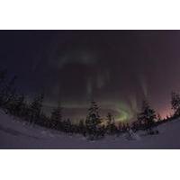 Lapland Northern Lights Safari by Reindeer Sleigh from Saariselkä
