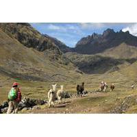 Lares Trek to Machu Picchu in 4 Days