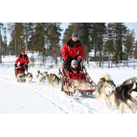 lapland christmas family friendly husky sled ride from rovaniemi