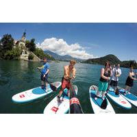 Lake Bled Stand-up Paddling and Vintgar Gorge Half Day Tour from Ljubljana