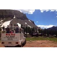 La Plata Canyon Jeep Tours near Durango and Cortez CO