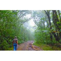 La Tigra National Park Day Tour From Tegucigalpa