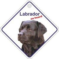 Labrador