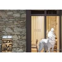 L\'AIGLE DES NEIGES
