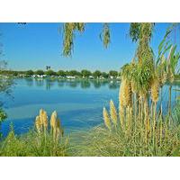 Lake Minden RV Resort