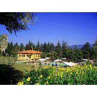 La Valle de\' Medici