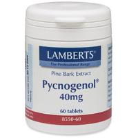 Lamberts Pycnogenol 40mg (60)