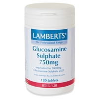 Lamberts Glucosamine Sulphate 1000mg (120)