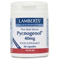 Lamberts Pycnogenol, 40mg, 60Caps