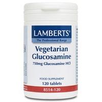 Lamberts Vegetarian Glucosamine, 750mg, 120Tabs