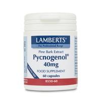 Lamberts Pycnogenol® - 60 Caps