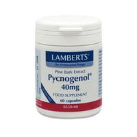 lamberts pycnogenol 40mg 60 caps